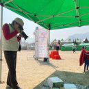 토지초등학교 | [구례] 지리산 봄꽃레이스+구례 산수유꽃축제 실시간 개화상황