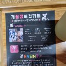 개꿀잼 애견카페 이미지