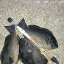 석지축산 이미지