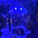 11545-11-33-23 | 🦈 33개월 아기랑 코엑스 아쿠아리움② | 내부 볼거리·해저터널 관람 후기