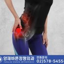 바른정형외과 이미지