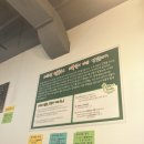 양지-3318 | 청주 가경동맛집 시외버스터미널 포시애틀 쌀국수 국물맛집 짜조 튀김 추천