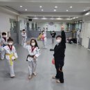 권일 태권도 네이버블로그