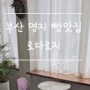 로다로지 이미지