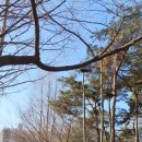 방화근린공원 꿩고개 화장실 | 강서 둘레길 걷기