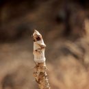 작은섬 1 이미지