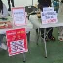 신나는 놀이체육(6세, 2019년생) | 2025년 제14회 둔내고랭지 토마토축제 후기 - 일정 주차 축제부스 금찾기이벤트)