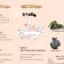 용문도예