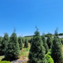 선형농장 이미지