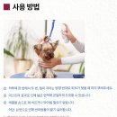 맥스동물병원 | 보습 미스트, 스프레이 추천 - 더모센트 아톱7 맥스 하이드라 - 강남 피부병 전문 동물병원 라퓨클레르