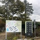 스탠포드호텔앤리조트 제주A | [제주 애월] 스탠포드호텔앤리조트제주 솔직후기, 스탠포드호텔제주 디럭스 트윈 오션뷰