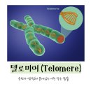 Wellness(건강한 삶)은 건강의 핵심이다 이미지