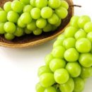 퍼털그라운드 이미지