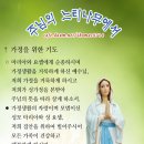 주님의 느티나무에서 Daum 카페 - 폰 배경 이미지