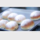 빠띠시에 이미지