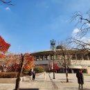 토요바이올린A | [공연] 예술의전당 강남심포니 (25.11.22) - 알면 더 들린다