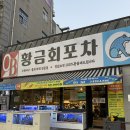 힘찬산오징어 | 광주수완지구맛집 황금회포차 광주수완2호점 광주하모샤브샤브
