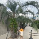 누에베풀빌라앤리조트 이미지