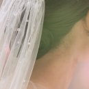 필름비 이미지