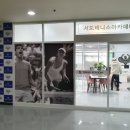 서도테니스아카데미 | 전주테니스 선수출신 코치진들이 함께하는 서도테니스아카데미