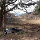 중앙애견종합병원 이미지