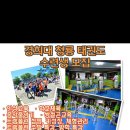 경희대 청룡태권도 이미지