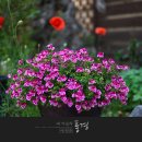 뜰커피 이미지
