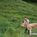 그뤼에르 이미지