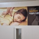 금손명가