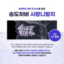 송도하버치과의원 이미지