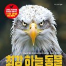 하늘동물