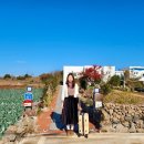 스테이 도채비꽃 이미지