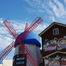 바람의마을 손칼국수 이미지