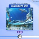 아쿠아 프랜즈 이미지