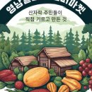 협동조합 영남알프스