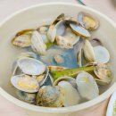 해바리민박 이미지