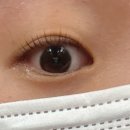 리뷰티 - 중구 | 현동 속눈썹펌 만족도 높은 리엔드뷰티, 눈썹왁싱까지 받은 후기