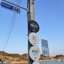 올리비아스테이 | 여수 화양면 - 오션뷰 애견동반 독채 에어비앤비 [올리비아 스테이] 2박 후기