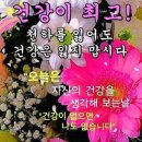 장수헬스클럽 이미지