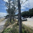 장사해수욕장(주차장 옆) 이미지