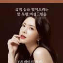 제나셀 이미지