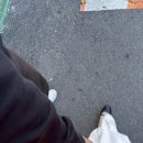 찬미회물회 이미지
