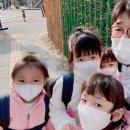 동탄한마음태권도장 이미지