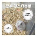 특별한동물가게광주점