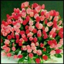 세명체육관 이미지