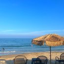 얀카라반펜션 이미지