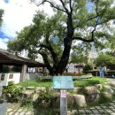 [골목]스마트폰 활용 이미지