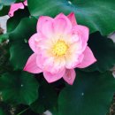 주빈농장 이미지