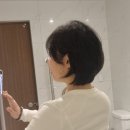 박승철헤어스투디오 선정릉역점 | 박승철헤어스투디오 선정릉역점 동해실장님 단발 커트 후기