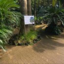 제주 와싱톤 이미지